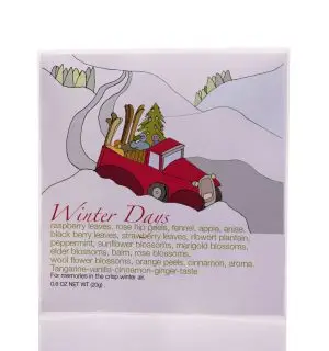 FT 23.45 Winter Days