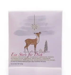 FT 1.98 Ein Stern für Dich